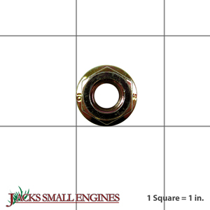 2410010S Flanged Nut