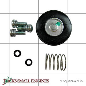 Accelerator Pump Repair Kit 2475708S