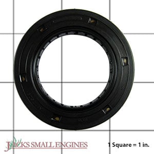 2503206S Oil Seal