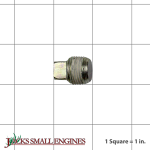 2513957S 3/8 in. Pip Plug