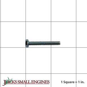 M401030S Cap Screw