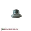 Fuel Bowl Retainer Screw