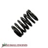 Valve Spring