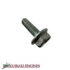 Thread Form Screw 