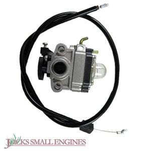 Carburetor with Primer 75304296