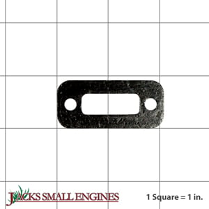 Exhaust Gasket 75304619