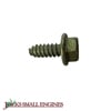 Hex Screw