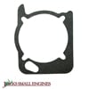 Crankcase Gasket