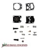 Carburetor Repair Kit     