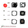 Carburetor Repair Kit