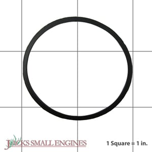 Float Bowl Gasket 8031074