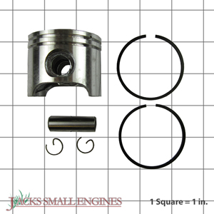 Piston Kit 6100465