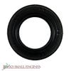 Oil Seal