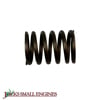 Valve Spring     