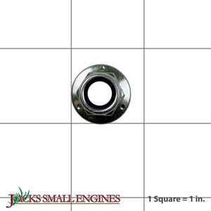 5025394SM Hex Nut