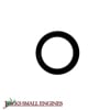 Oil Seal