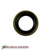 Oil Seal