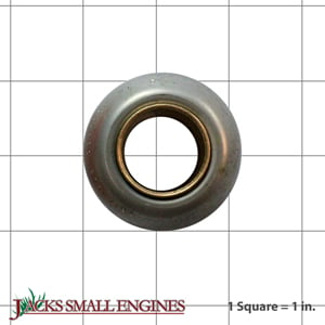 Ball Bearing 2176100SM