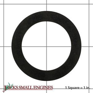 7031079YP Thrust Washer