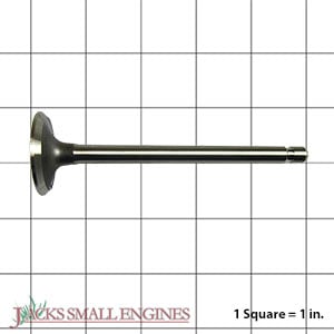 Exhaust Valve 505537