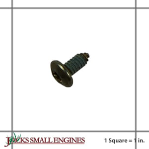 650506 Screw