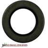 Oil Seal