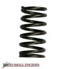 Valve Spring