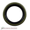 Oil Seal        