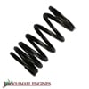 Valve Spring