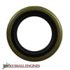 Oil Seal