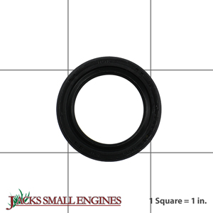 Oil Seal 253149