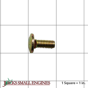 323023 Carr Screw