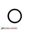 Oil Seal  