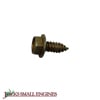 Hex Head Screw