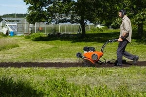 Cultivate your garden and watch your seeds grow into healthy plants