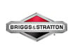 Briggs and Stratton Logo