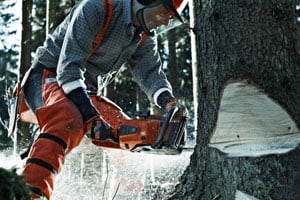 Outstanding Chainsaw Durability