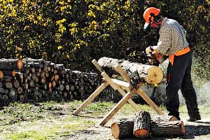 Ergonomically Designed Chainsaws