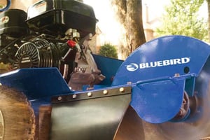 BlueBird Equipment