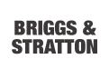 Briggs and Stratton