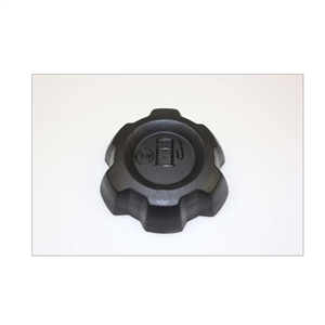 Fuel Cap 21547354