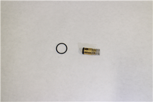 Check Valve Kit CA76185