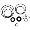 AP S PUMP SEAL KIT