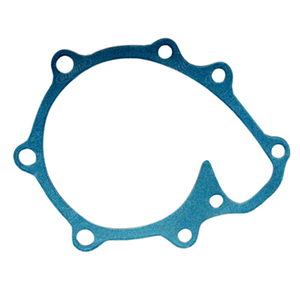 11066157 WATER PUMP GASKET