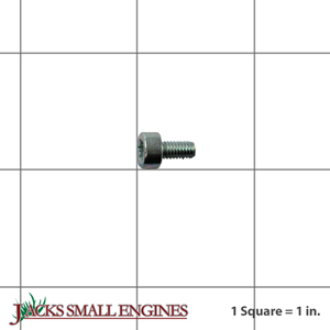 V804000030 SCREW 4X8