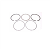 RING SET PISTON L,0.2 (No Longer Available)