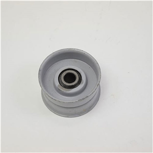 PULLEY IDLER 21546159