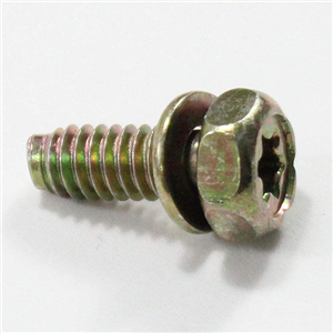 691090 SCREW