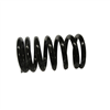 VALVE SPRING