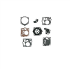 Gasket/Diaphragm Kit